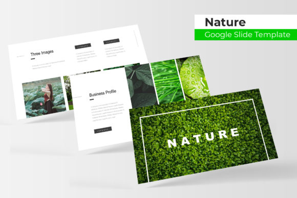 Designing with Organic Precision: A Comprehensive Guide to the Nature Google Slide Template